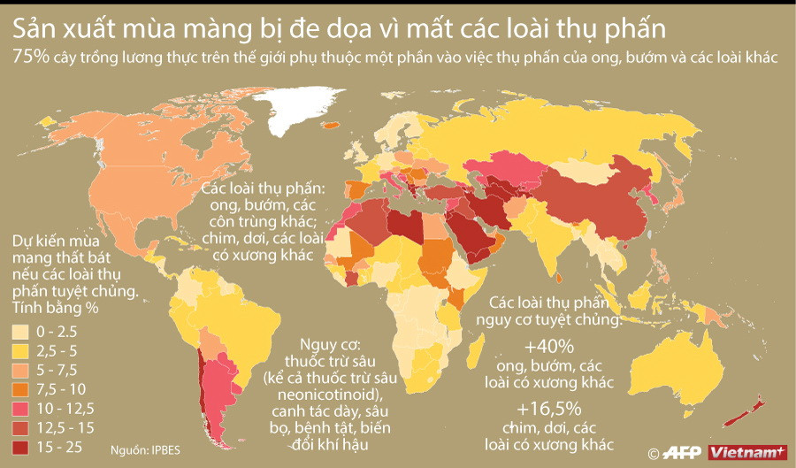 [Infographics] Sản xuất mùa màng bị đe dọa vì mất các loài thụ phấn ảnh 1