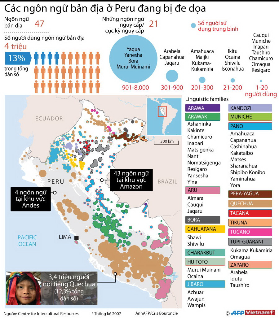 [Infographics] Các ngôn ngữ bản địa ở Peru đang bị đe dọa ảnh 1