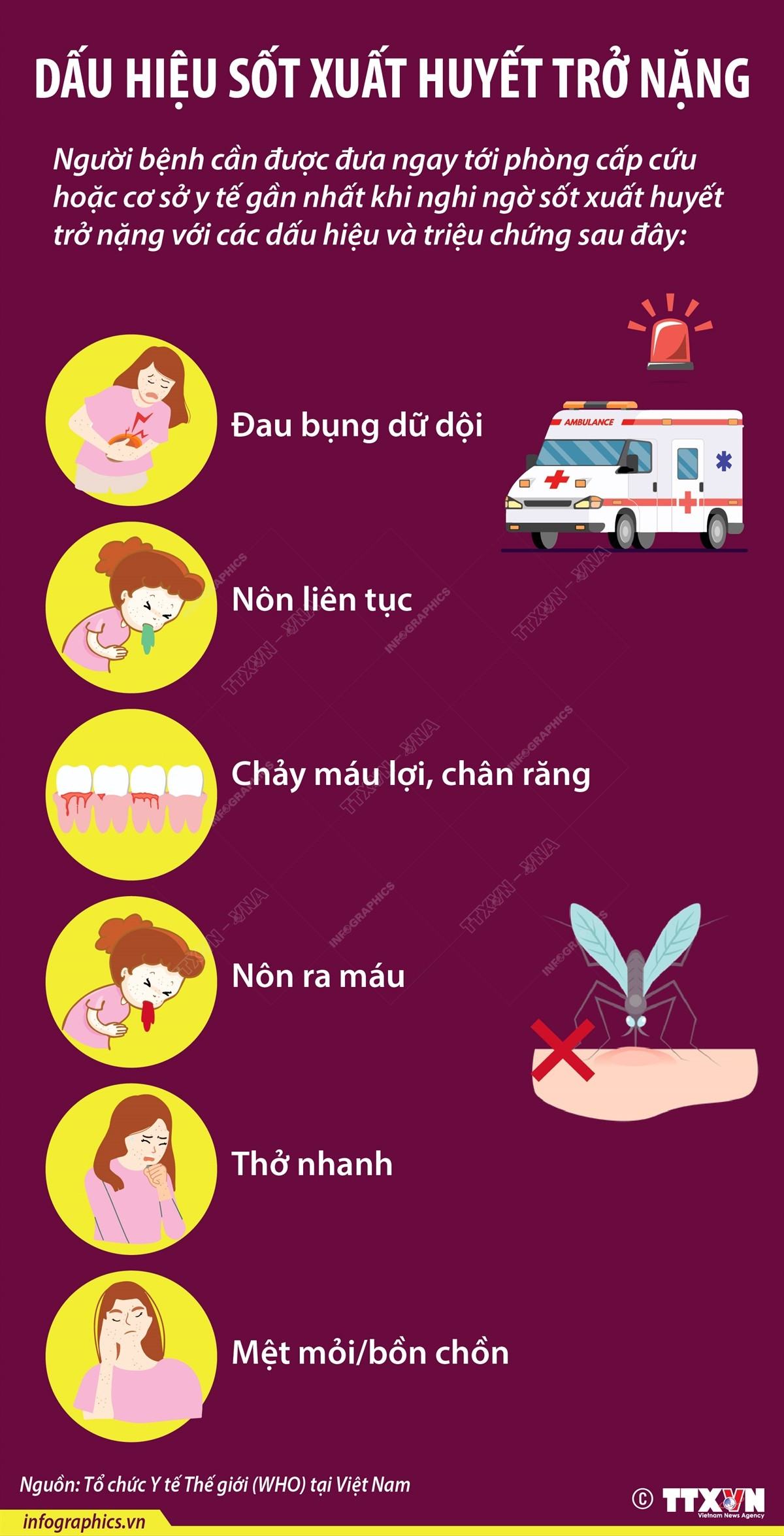 Biện pháp tránh bị muỗi đốt, phòng tránh hiệu quả sốt xuất huyết ảnh 4
