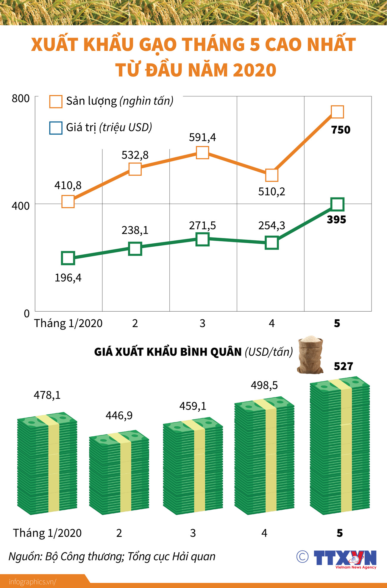 [Infographics] Xuất khẩu gạo tháng Năm cao nhất từ đầu năm 2020 ảnh 1