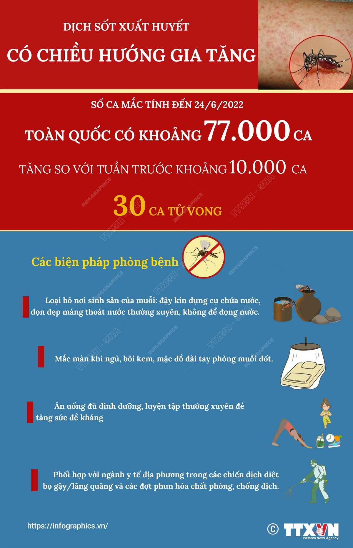 [Infographics] Dịch sốt xuất huyết có chiều hướng gia tăng ảnh 1