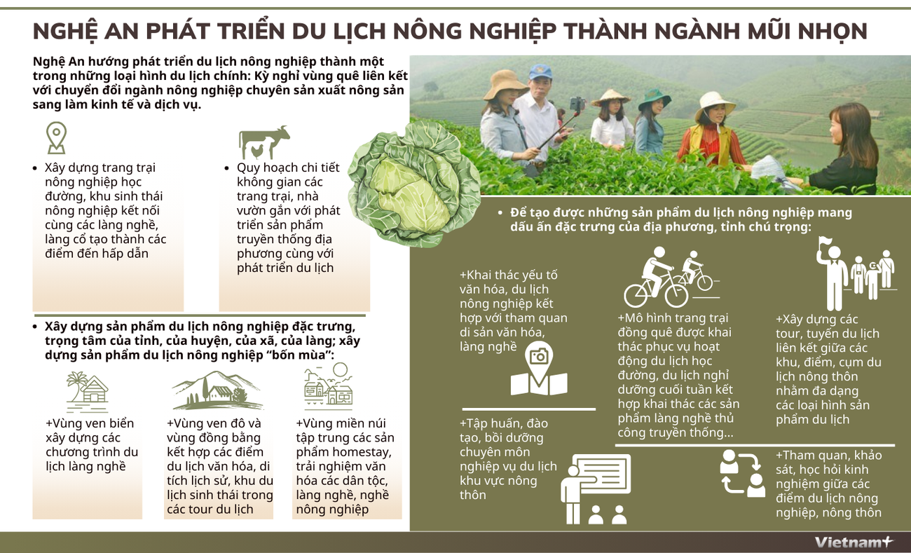 Nghệ An phát triển du lịch nông nghiệp thành ngành mũi nhọn ảnh 1
