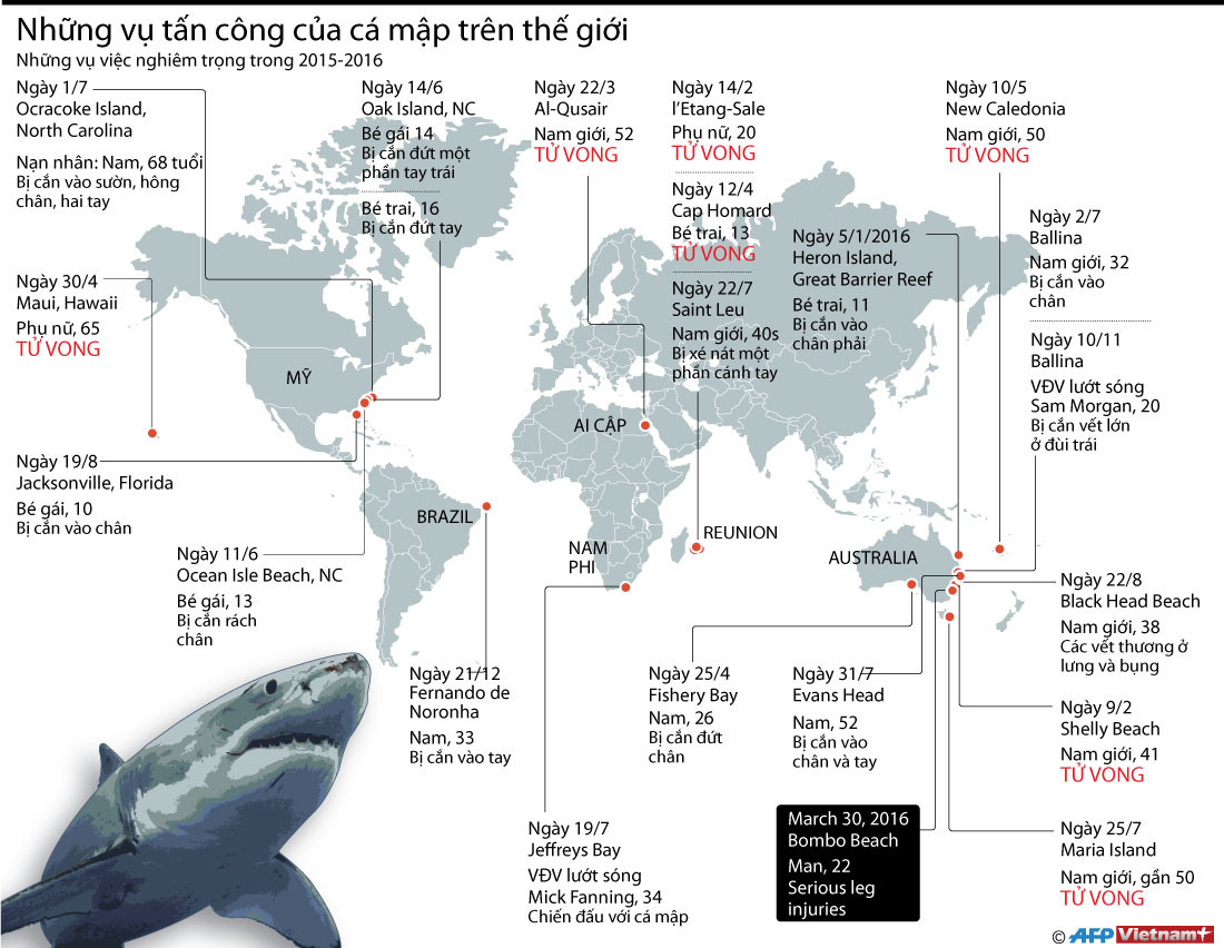 [Infographics] Các vụ cá mập tấn công người trên thế giới ảnh 1