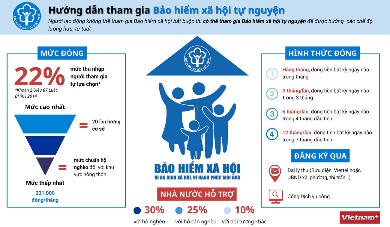 [Infographics] Hướng dẫn tham gia Bảo hiểm xã hội tự nguyện ảnh 1