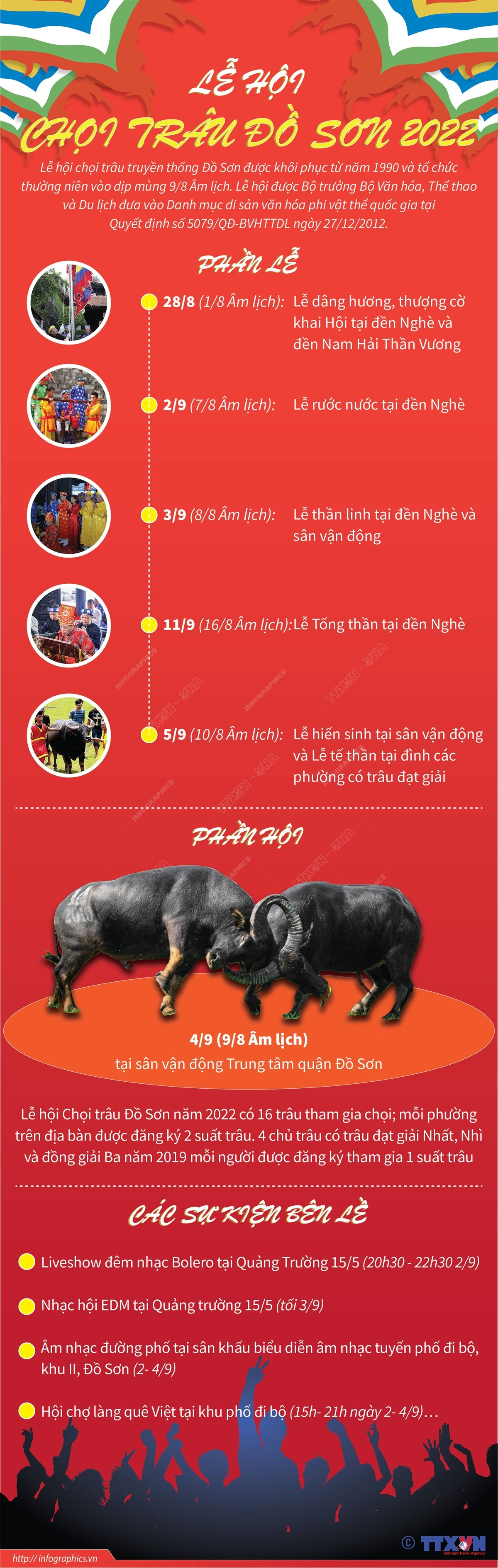 [Infographics] Hấp dẫn Lễ hội chọi trâu truyền thống Đồ Sơn 2022 ảnh 1
