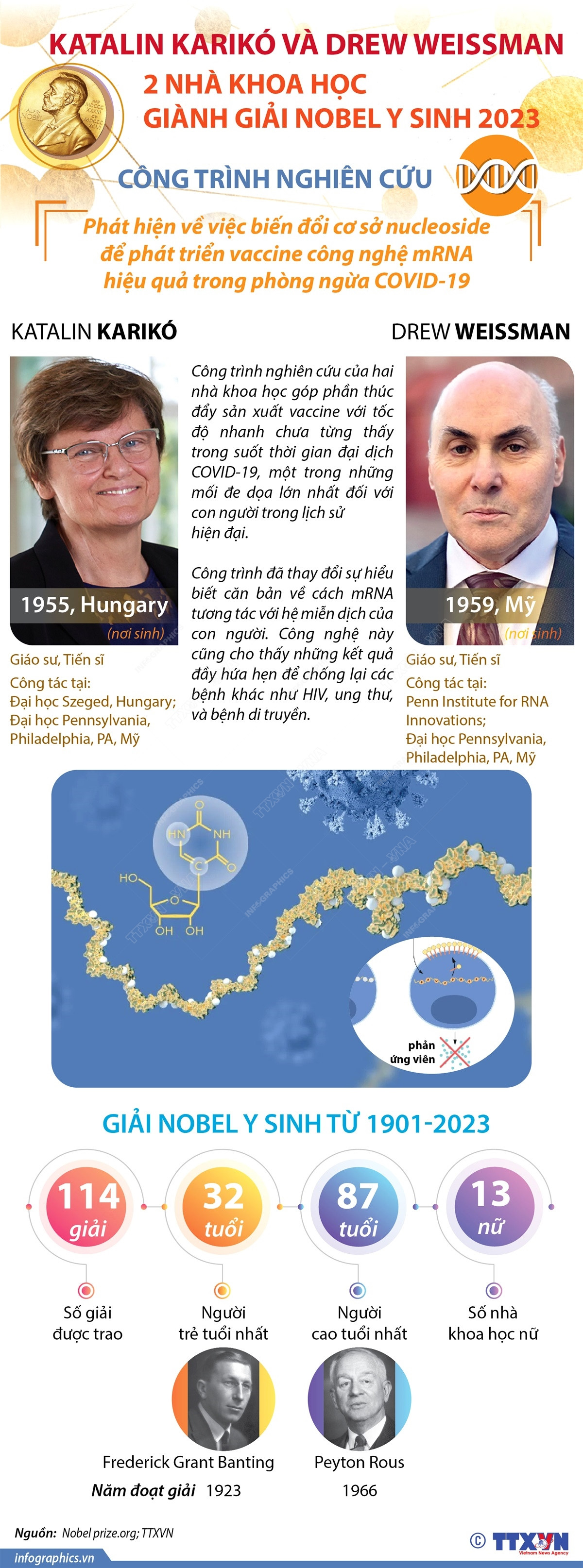 Giải Nobel Y sinh 2023 vinh danh hai nhà khoa học Hungary và Mỹ ảnh 1