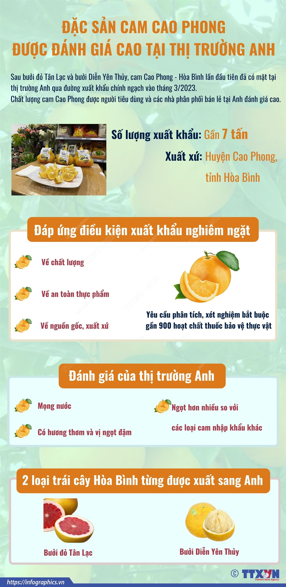 [Infographics] Cam Cao Phong được đánh giá cao tại thị trường Anh ảnh 1