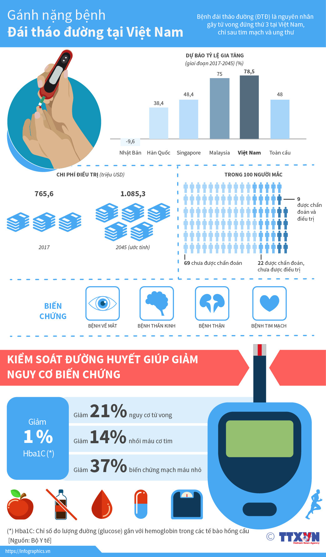 [Infographics] Gánh nặng bệnh đái tháo đường tại Việt Nam ảnh 1