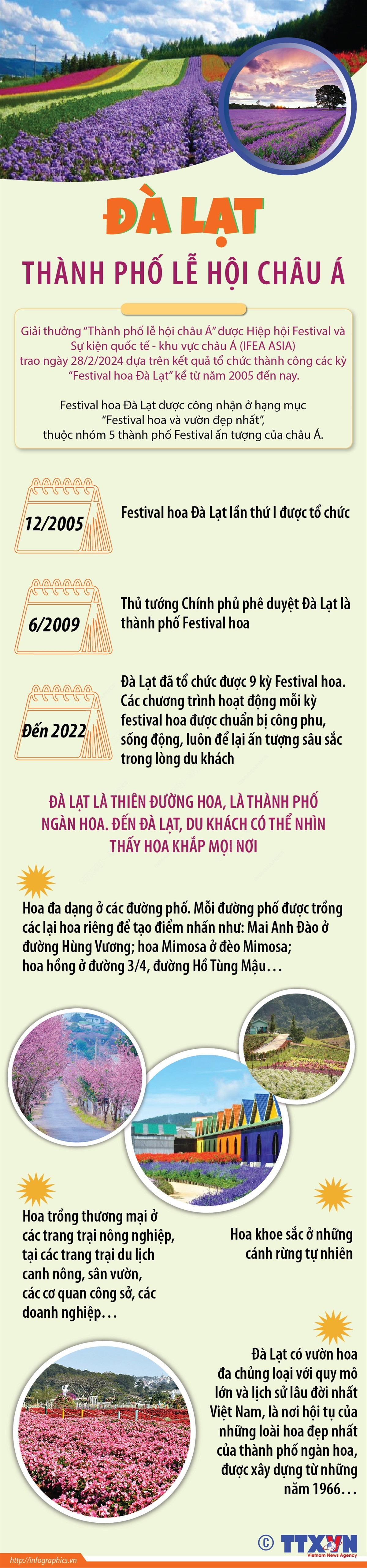 infographics_da lat le hoi.jpeg