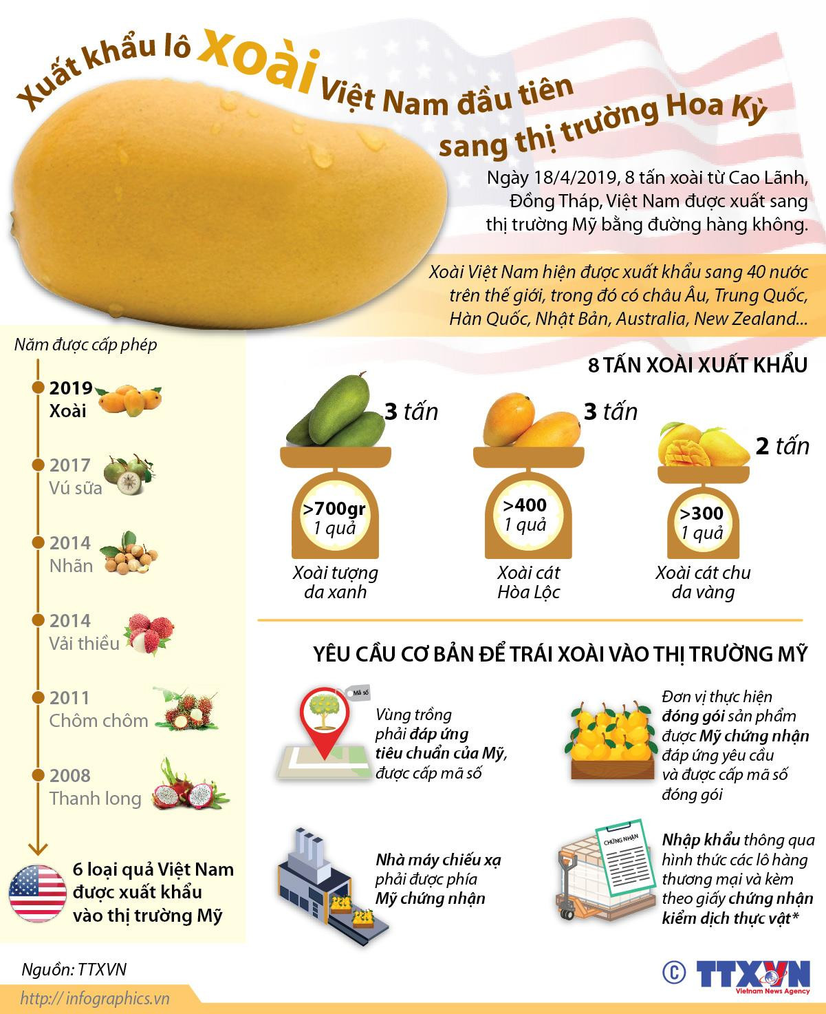 [Infographics] Xuất khẩu lô xoài Việt Nam đầu tiên sang thị trường Mỹ ảnh 1