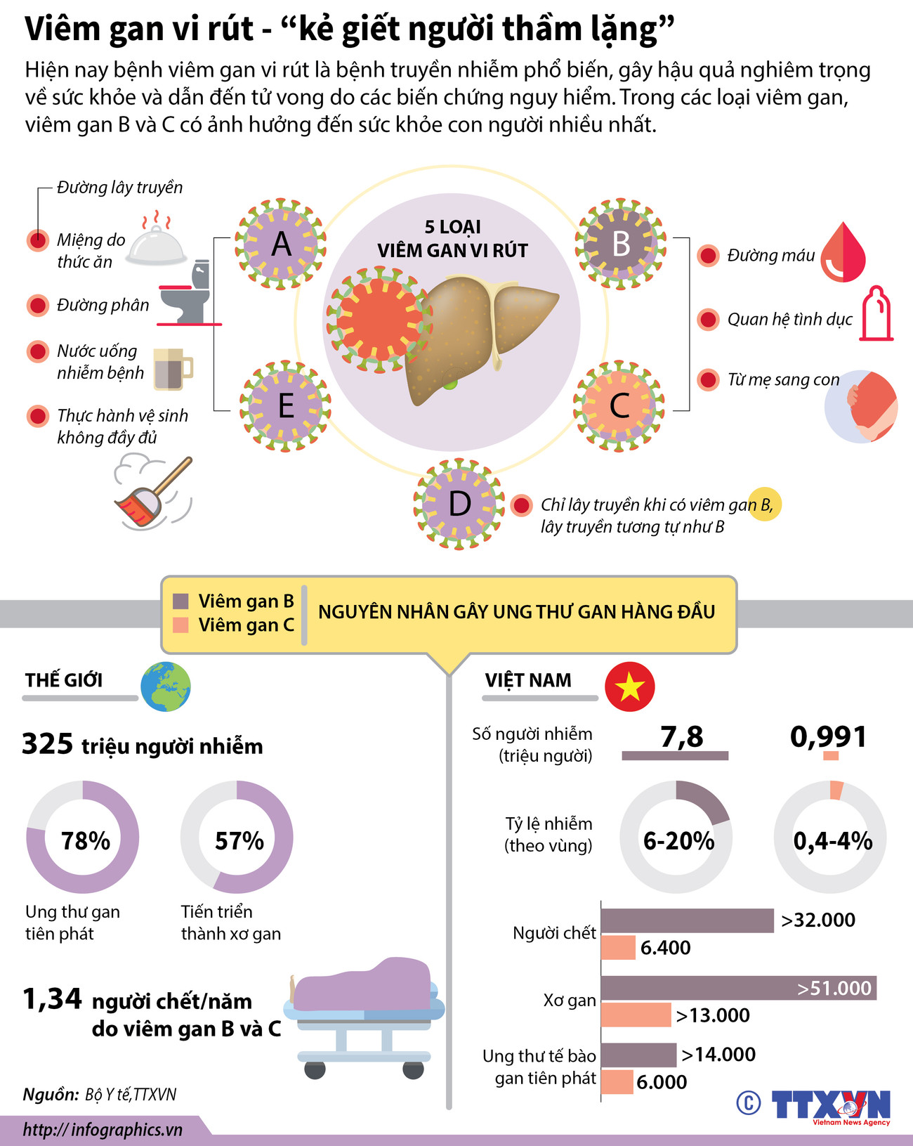 [Infographics] Viêm gan virus - “kẻ giết người thầm lặng” ảnh 1
