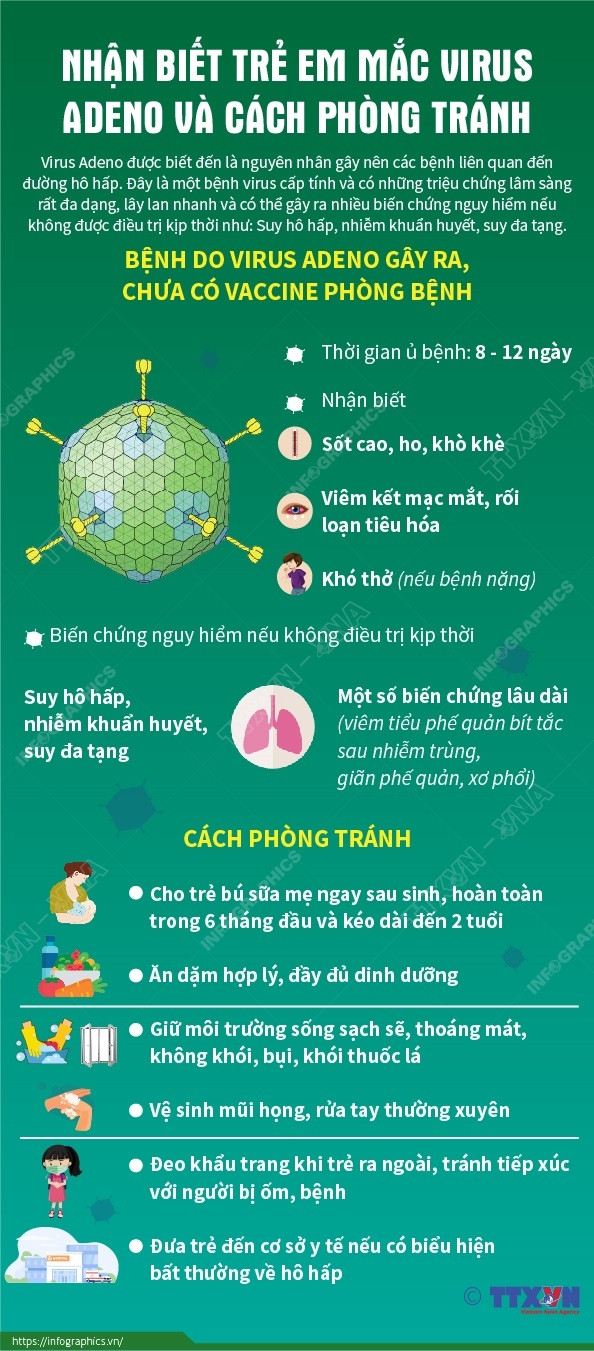 [Infographics] Nhận biết trẻ em mắc virus Adeno và cách phòng tránh ảnh 1
