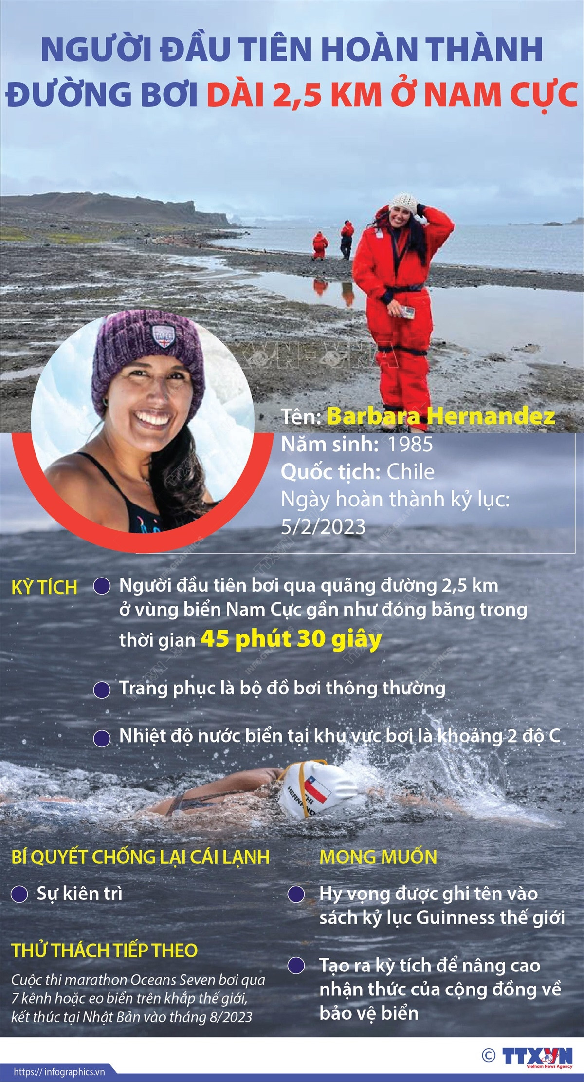 Hernandez - Người đầu tiên hoàn thành đường bơi 2,5km ở Nam Cực ảnh 1