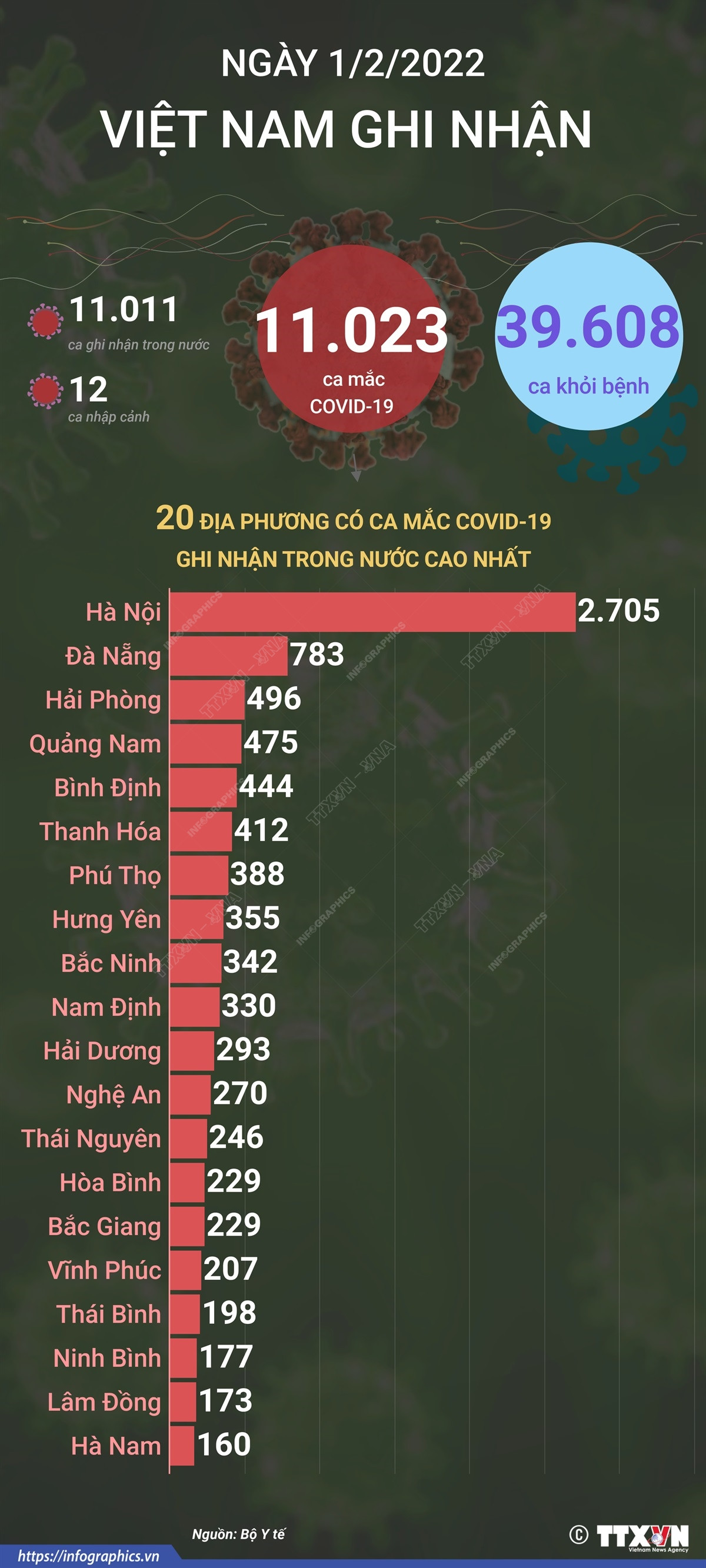 [Infographics] Ngày 1/2, có 11.023 ca mắc mới, 39.608 ca khỏi bệnh ảnh 1