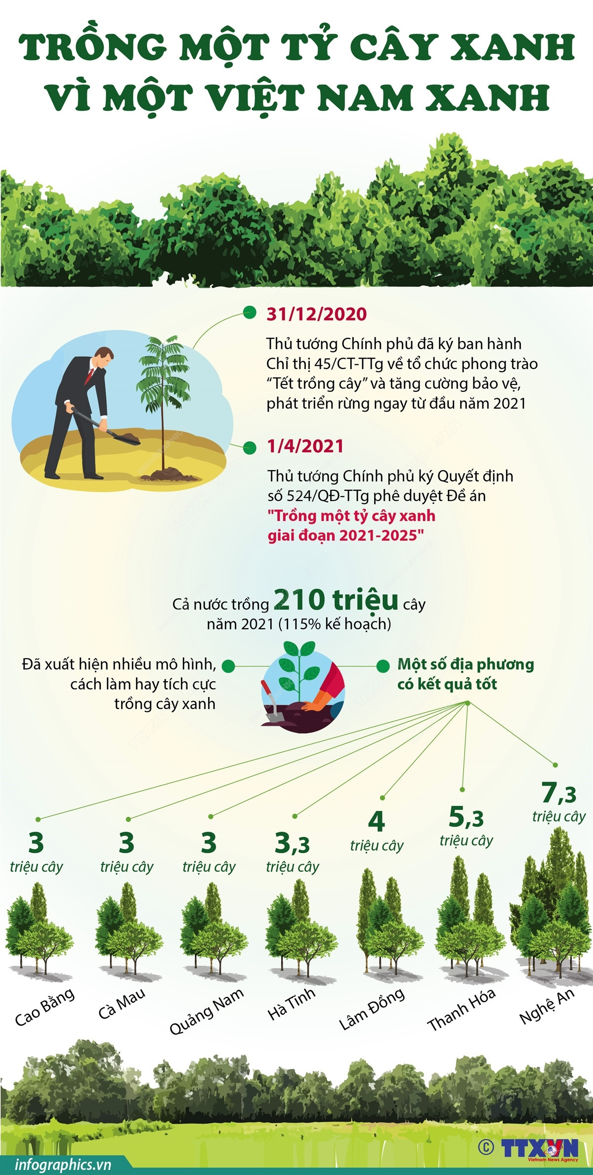 [Infographics] Trồng một tỷ cây xanh - Vì một Việt Nam xanh ảnh 1