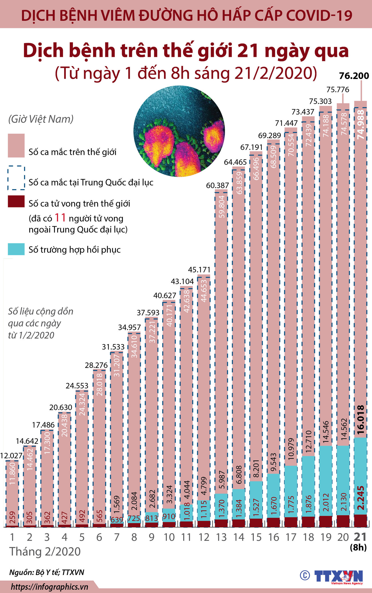 [Infographics] 76.200 trường hợp mắc COVID-19 trên toàn thế giới ảnh 1