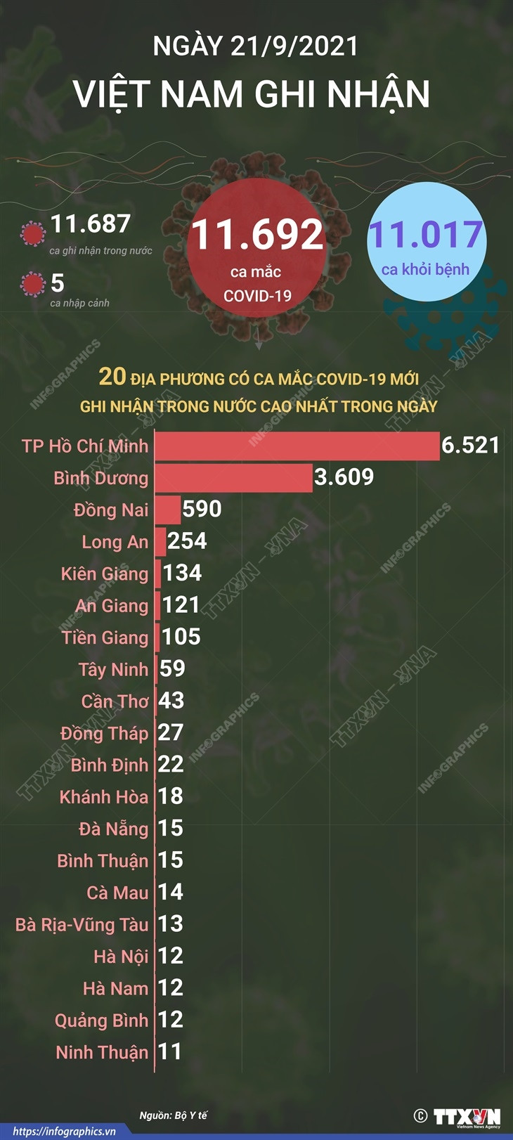 [Infographics] Thêm 11.017 bệnh nhân COVID-19 được công bố khỏi bệnh ảnh 1
