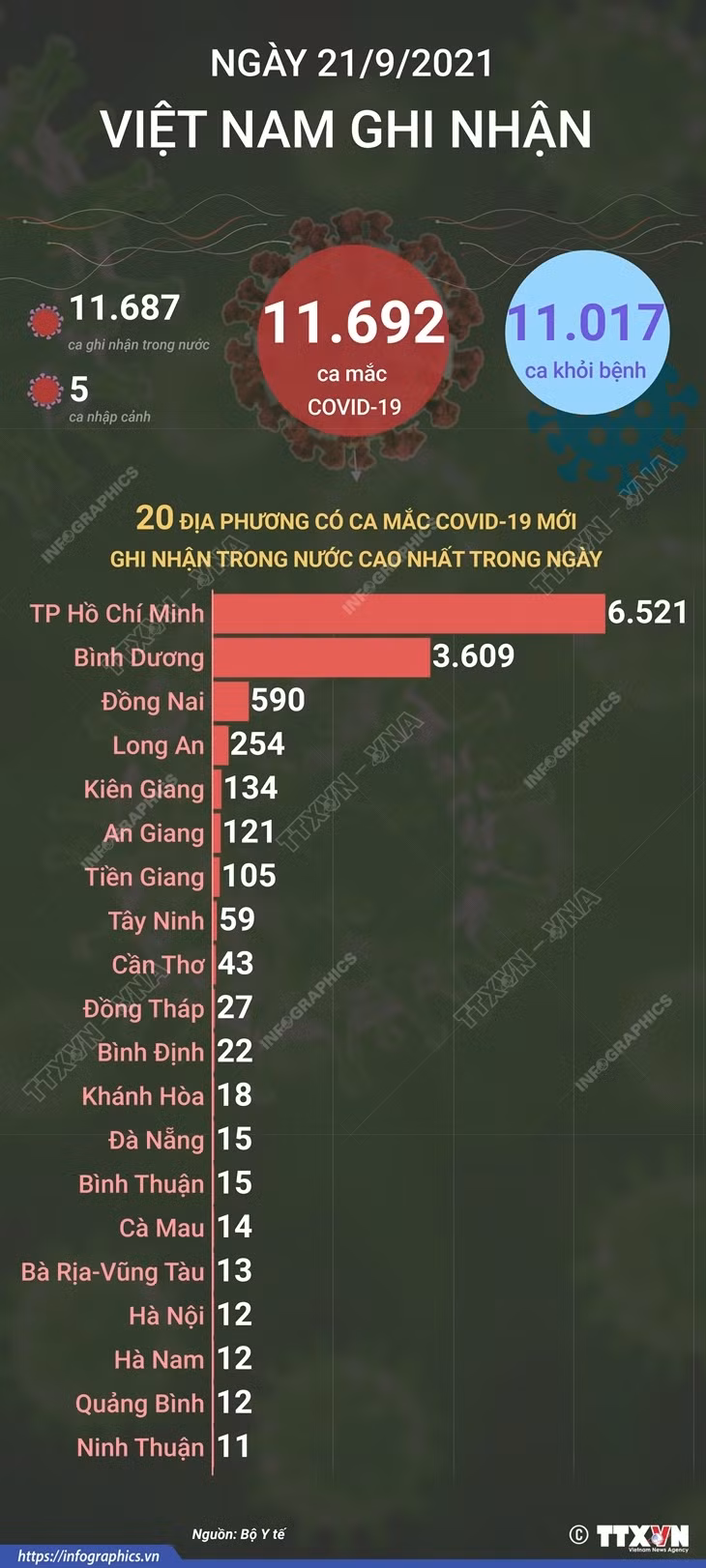 [Infographics] Thêm 11.017 bệnh nhân COVID-19 được công bố khỏi bệnh ảnh 1