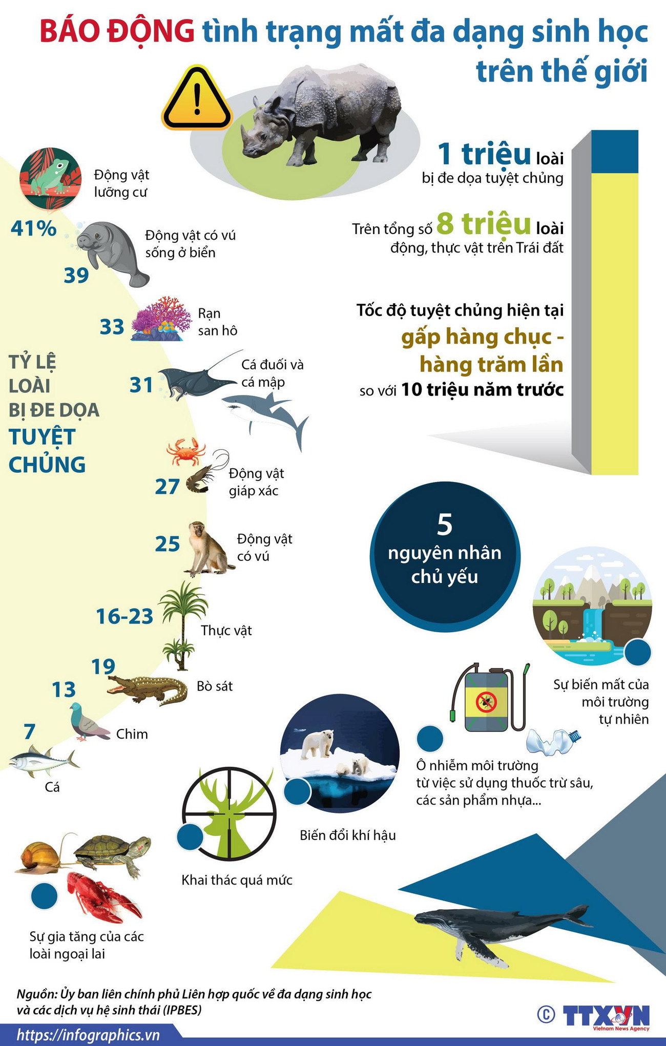Báo động tình trạng mất đa dạng sinh học trên thế giới ảnh 1