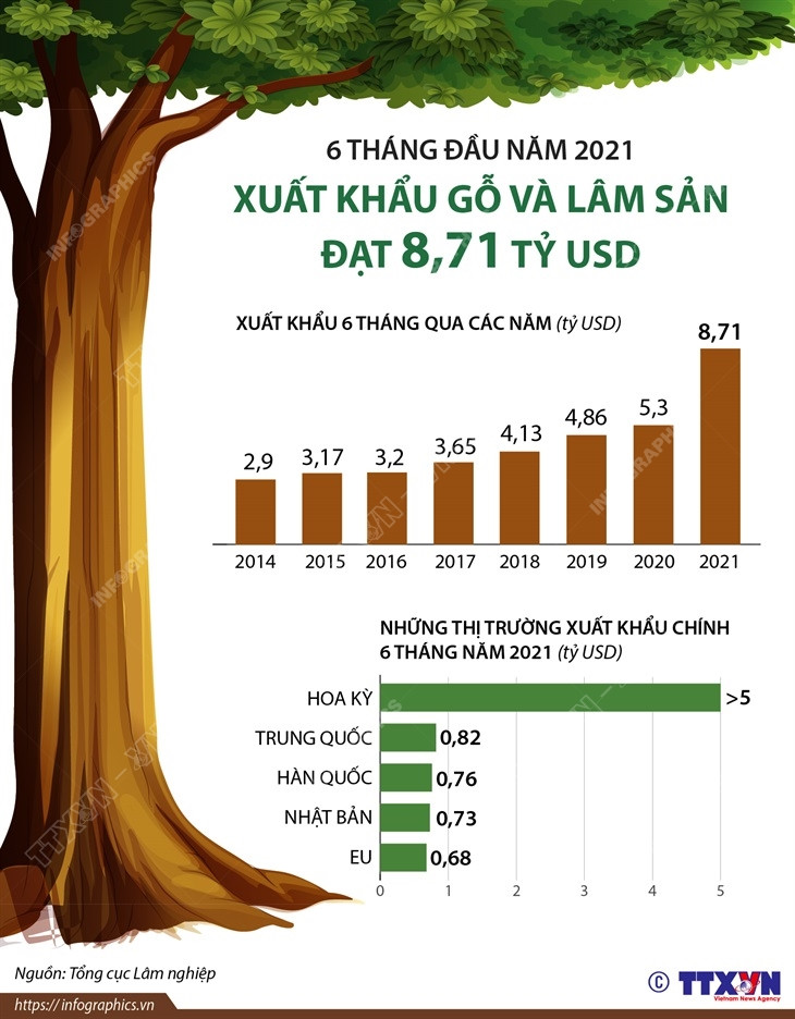 [Infographics] Xuất khẩu gỗ và lâm sản 6 tháng đầu năm đạt 8,71 tỷ USD ảnh 1