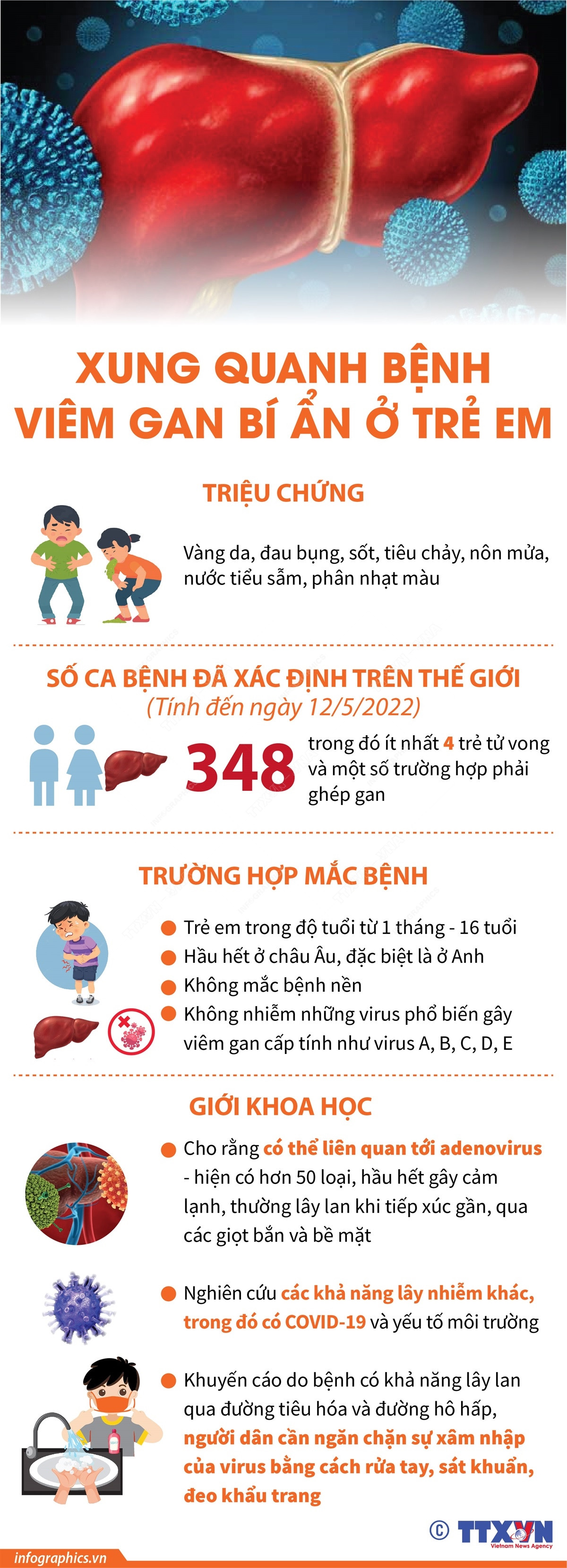 [Infographics] Xung quanh bệnh viêm gan bí ẩn xảy ra ở trẻ em ảnh 1