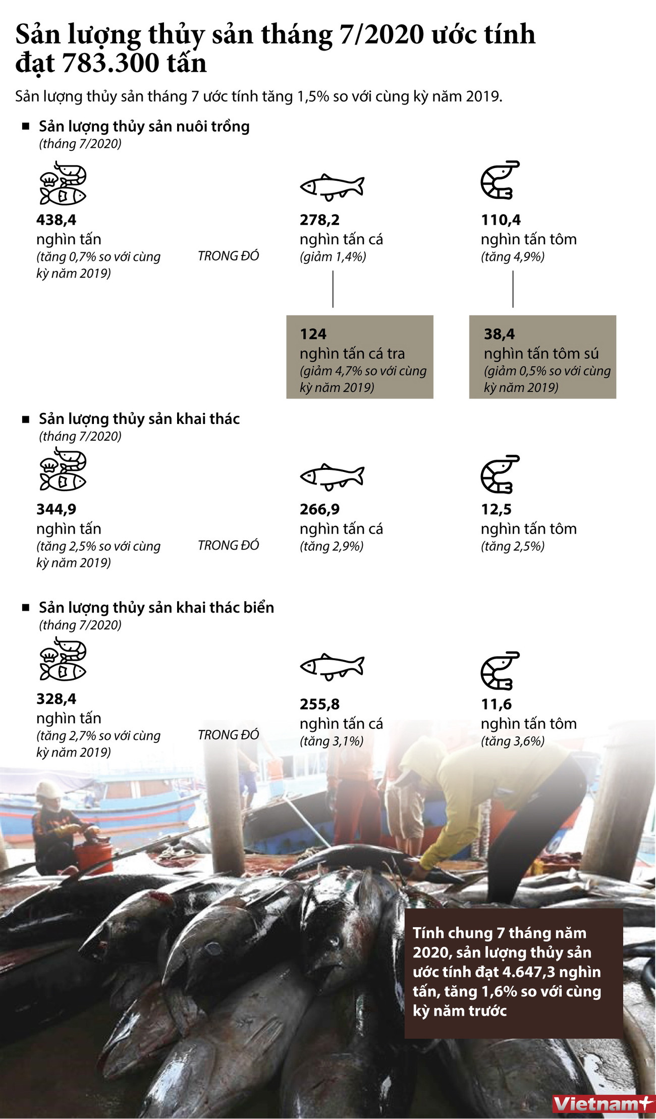 Sản lượng thủy sản cả nước tháng 7 ước tính đạt 783.300 tấn ảnh 1