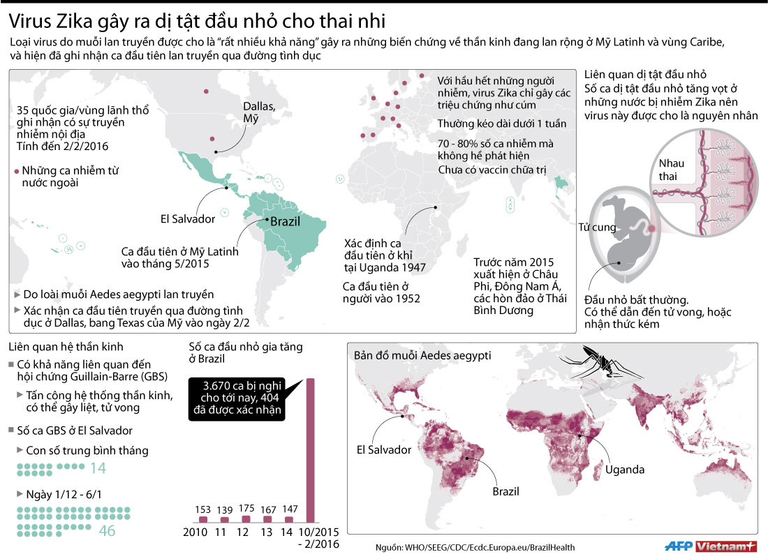 [Infographics] Những điều cần biết về virus Zika gây teo não ảnh 1