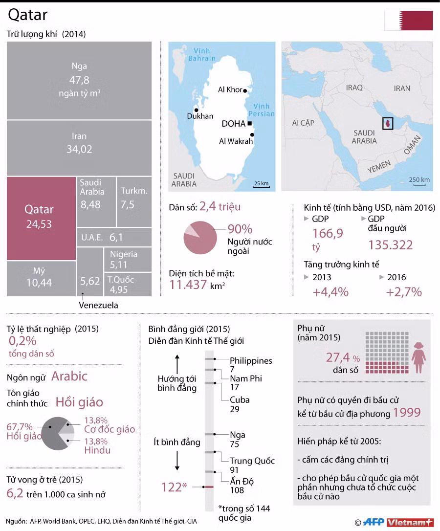 [Infographics] Những điều chưa biết về đất nước vùng Vịnh Qatar ảnh 1