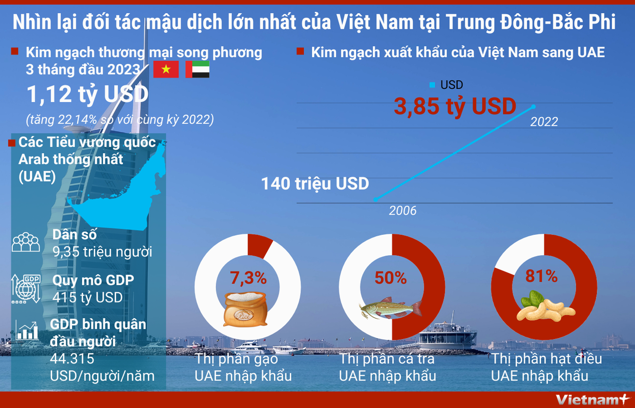 Nhìn lại đối tác mậu dịch lớn nhất của Việt Nam tại Trung Đông-Bắc Phi ảnh 1