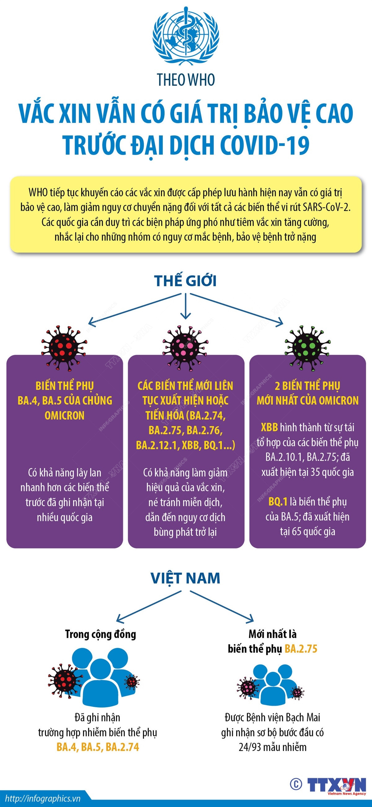 WHO: Vaccine vẫn có giá trị bảo vệ cao trước đại dịch COVID-19 ảnh 1