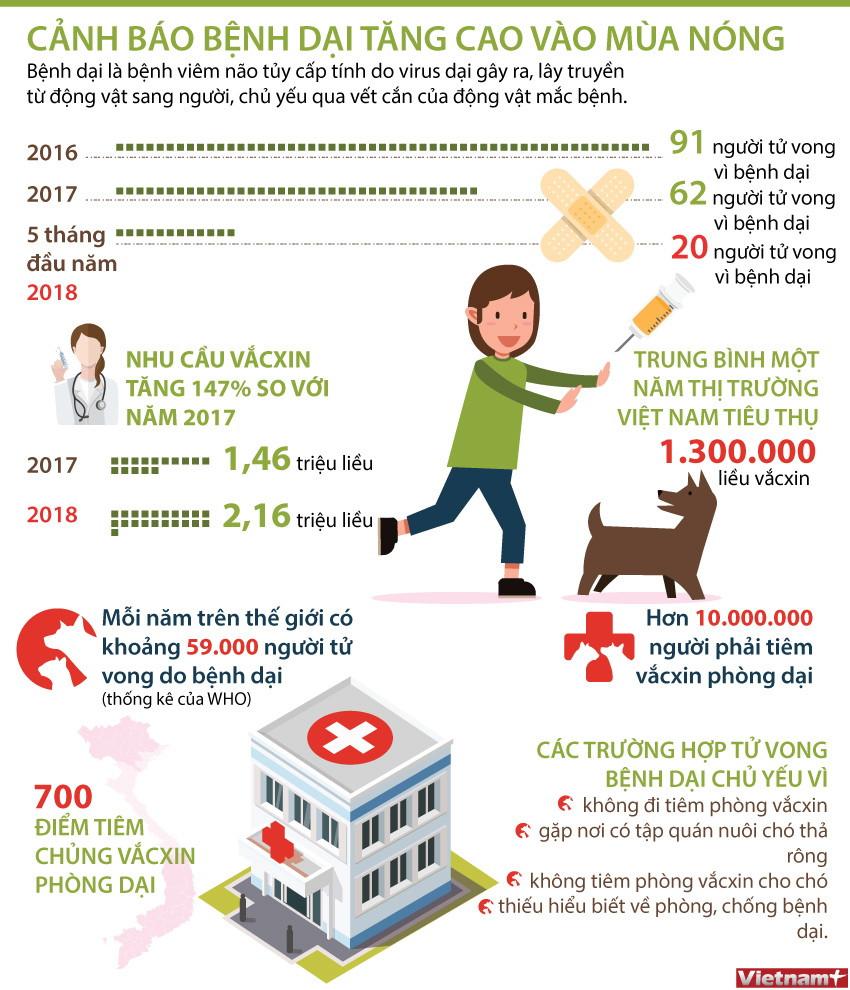 [Infographics] Đã có 20 người tử vong vì bệnh dại trong 5 tháng ảnh 1