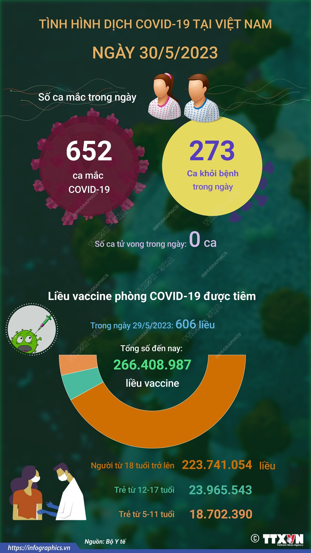 [Infographics] Cập nhật tình hình dịch COVID-19 tại Việt Nam ngày 30/5 ảnh 1
