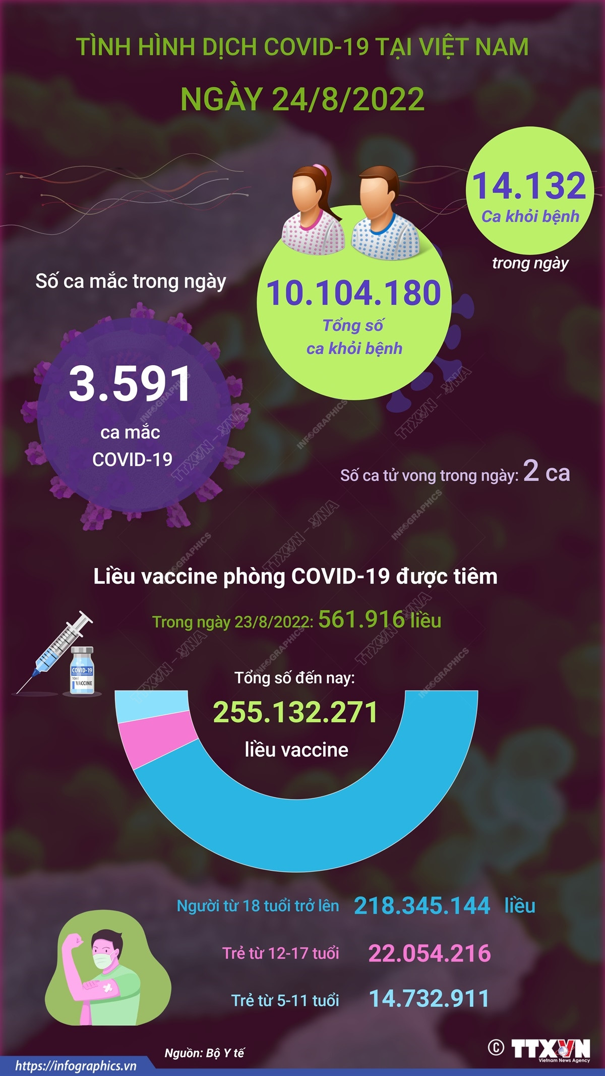 [Infographics] Ghi nhận 3.591 ca mắc mới COVID-19 trong ngày 24/8 ảnh 1
