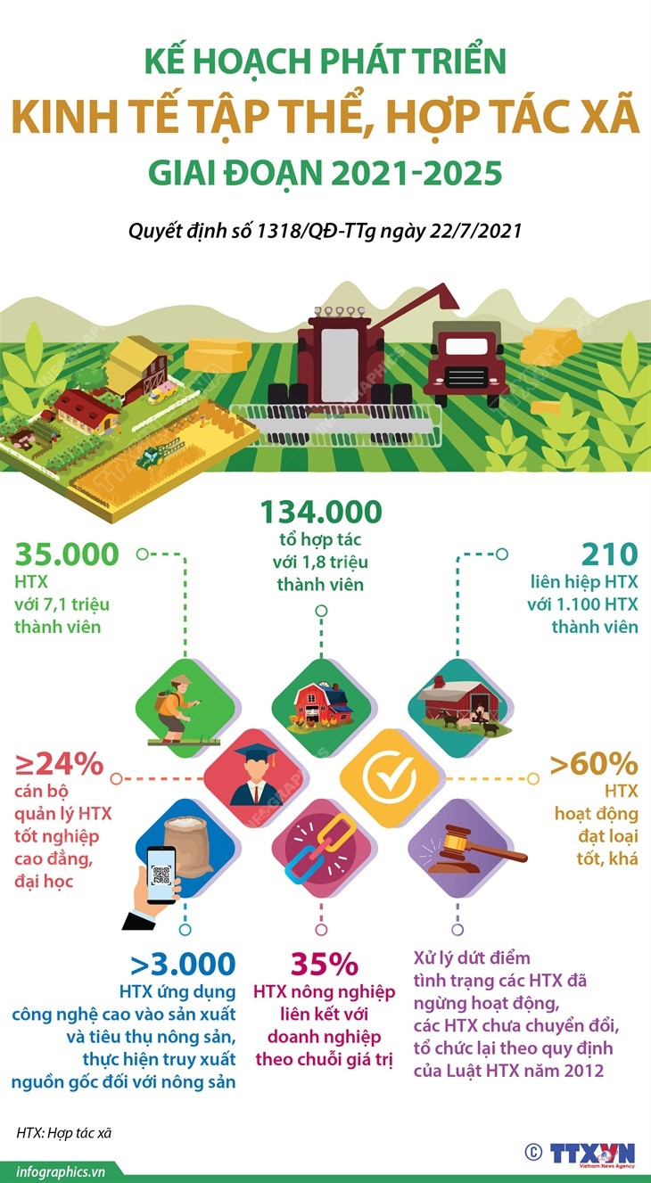 Kế hoạch phát triển kinh tế tập thể, hợp tác xã giai đoạn 2021-2025 ảnh 1