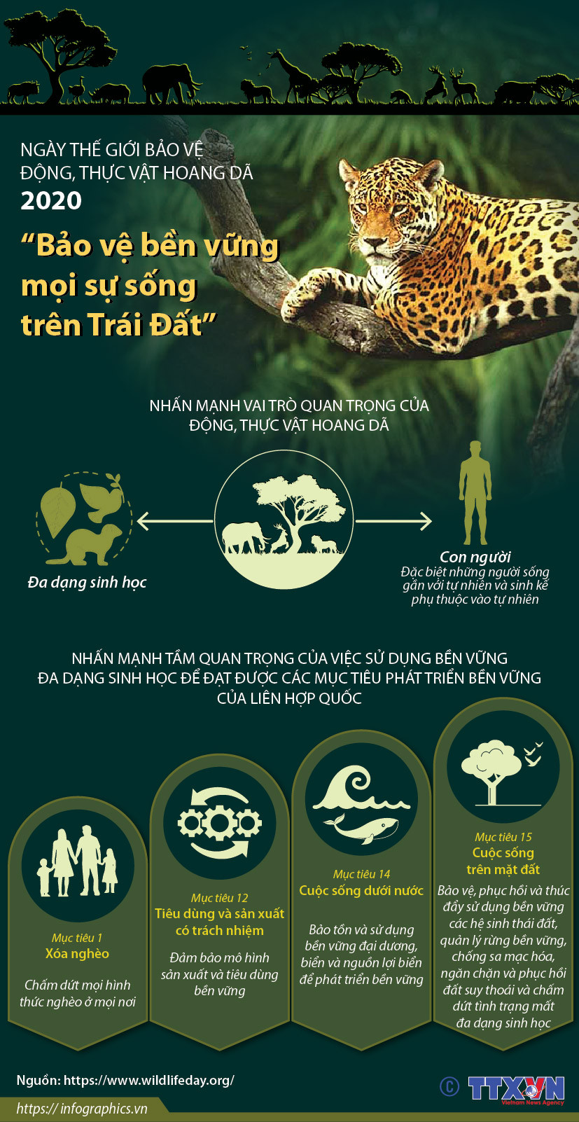 [Infographics] “Bảo vệ bền vững mọi sự sống trên Trái Đất” ảnh 1