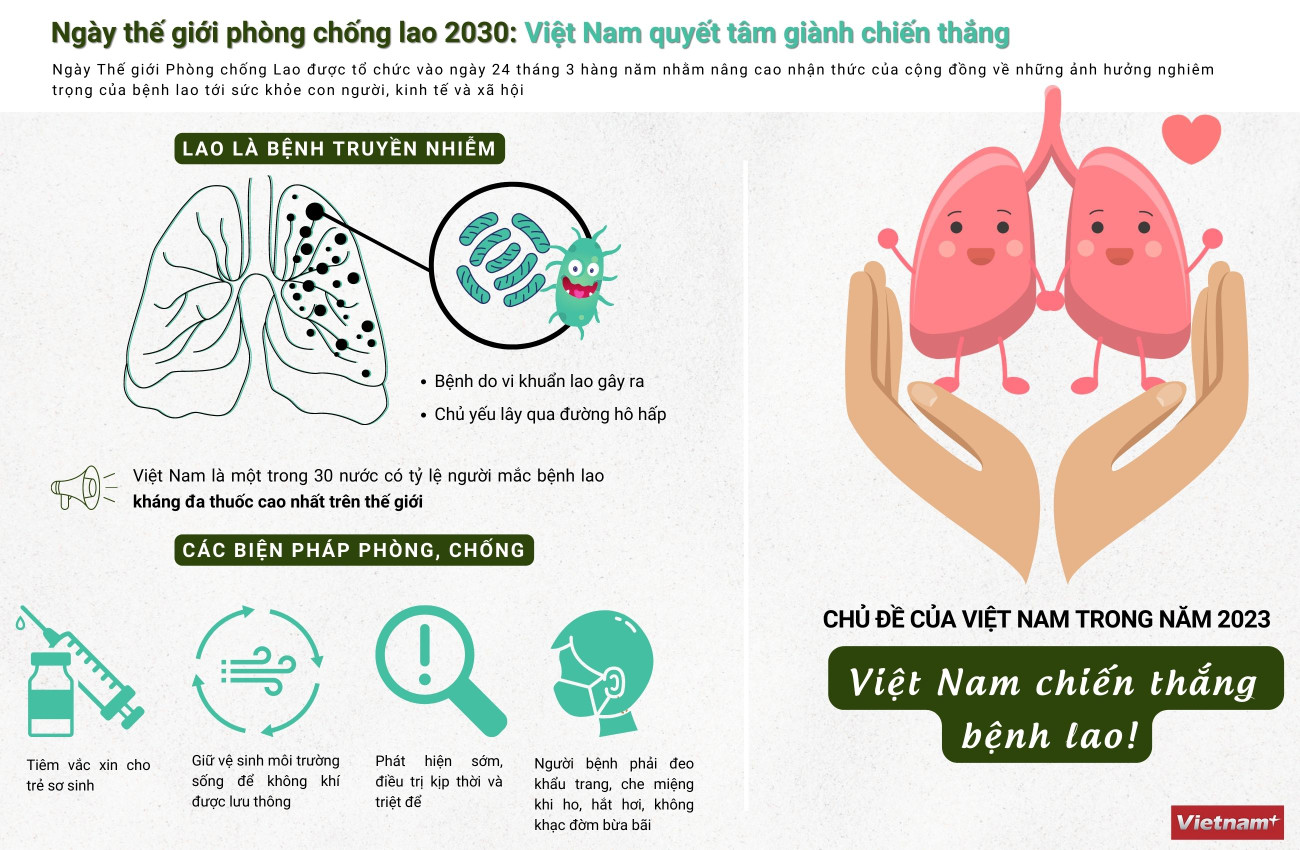 [Infographics] Việt Nam đặt mục tiêu chiến thắng bệnh lao ảnh 1