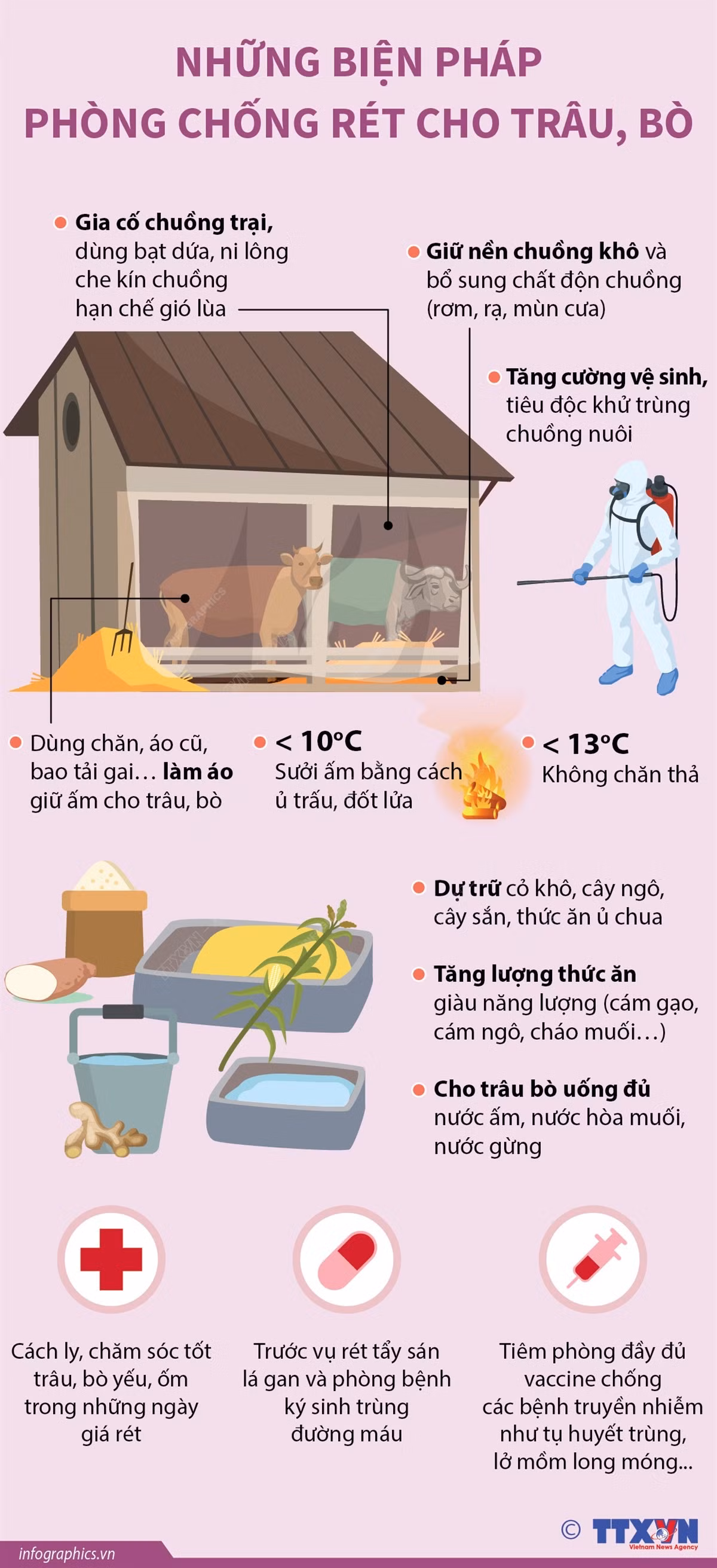 vna_potal_nhung_bien_phap_phong_chong_ret_cho_trau_bo_7193862.jpg