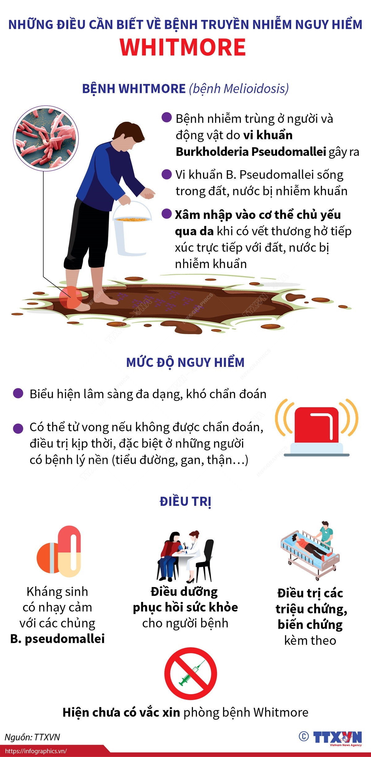[Infographics] Điều cần biết về bệnh truyền nhiễm nguy hiểm Whitmore ảnh 1