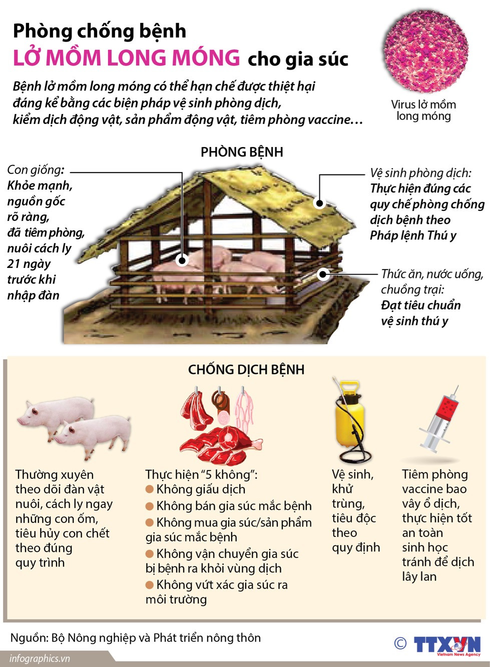 [Infographics] Phòng chống bệnh lở mồm long móng cho gia súc ảnh 1
