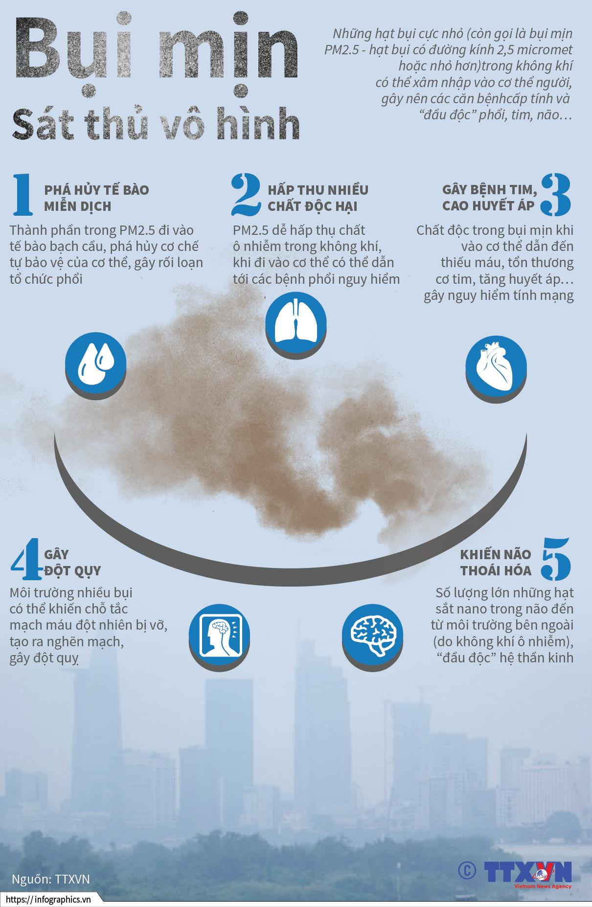 [Infographics] Vì sao bụi mịn được gọi là 'sát thủ vô hình' ảnh 1