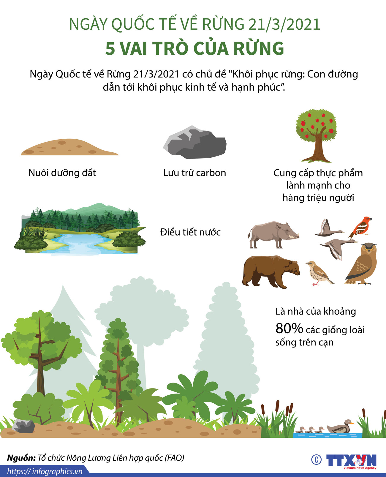 [Infographics] Ngày Quốc tế về Rừng: 5 vai trò của rừng ảnh 1