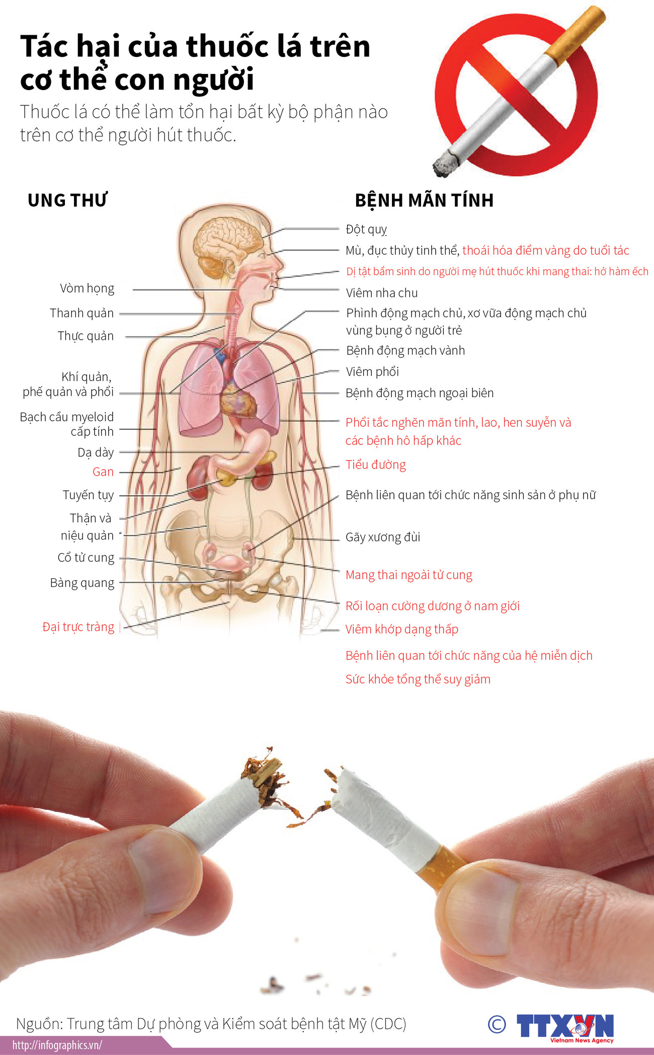 (Nhấp chuột vào ảnh để xem kích thước chuẩn) Thuốc lá gây tác hại trên cơ thể con người như thế nào? ảnh 1