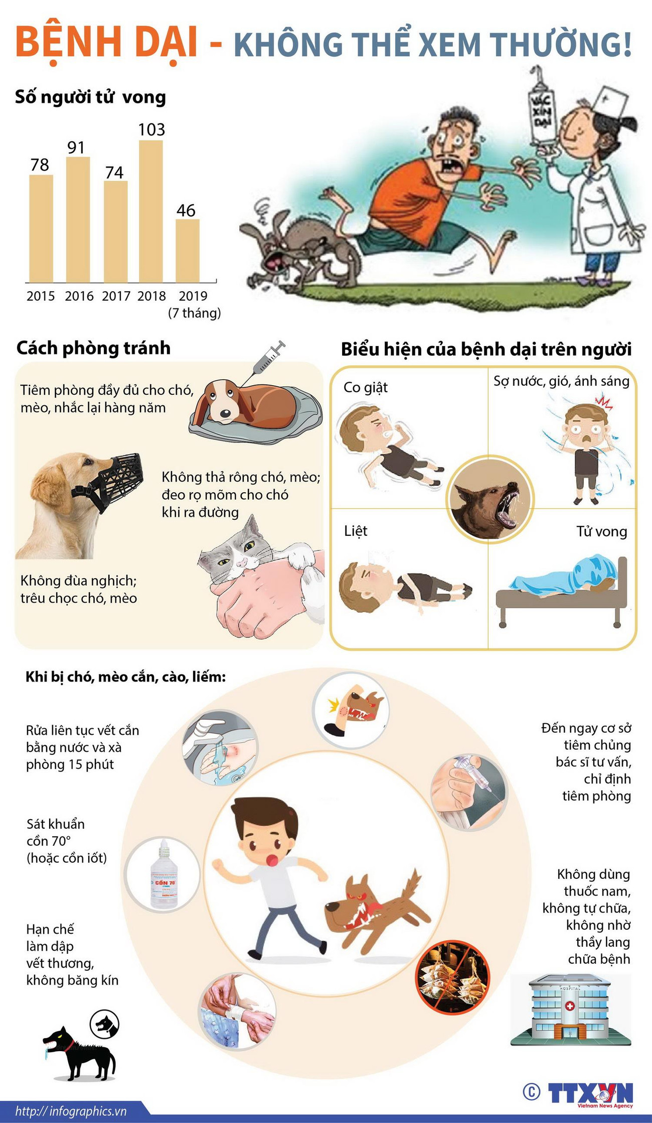 [Infographics] Cảnh báo về số ca tử vong do bệnh dại gây nên ảnh 1
