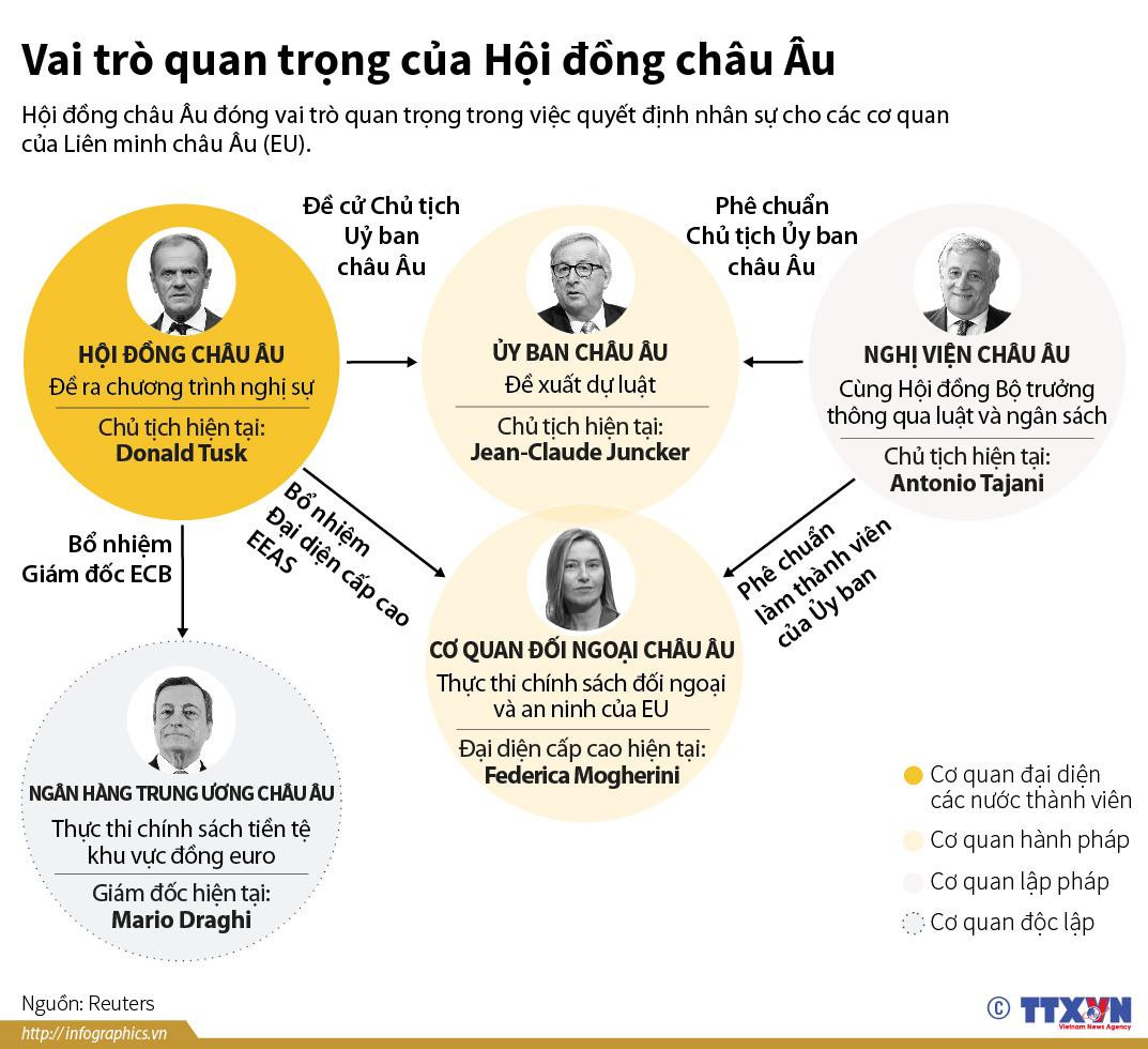 [Infographics] Vai trò quan trọng của Hội đồng châu Âu ảnh 1