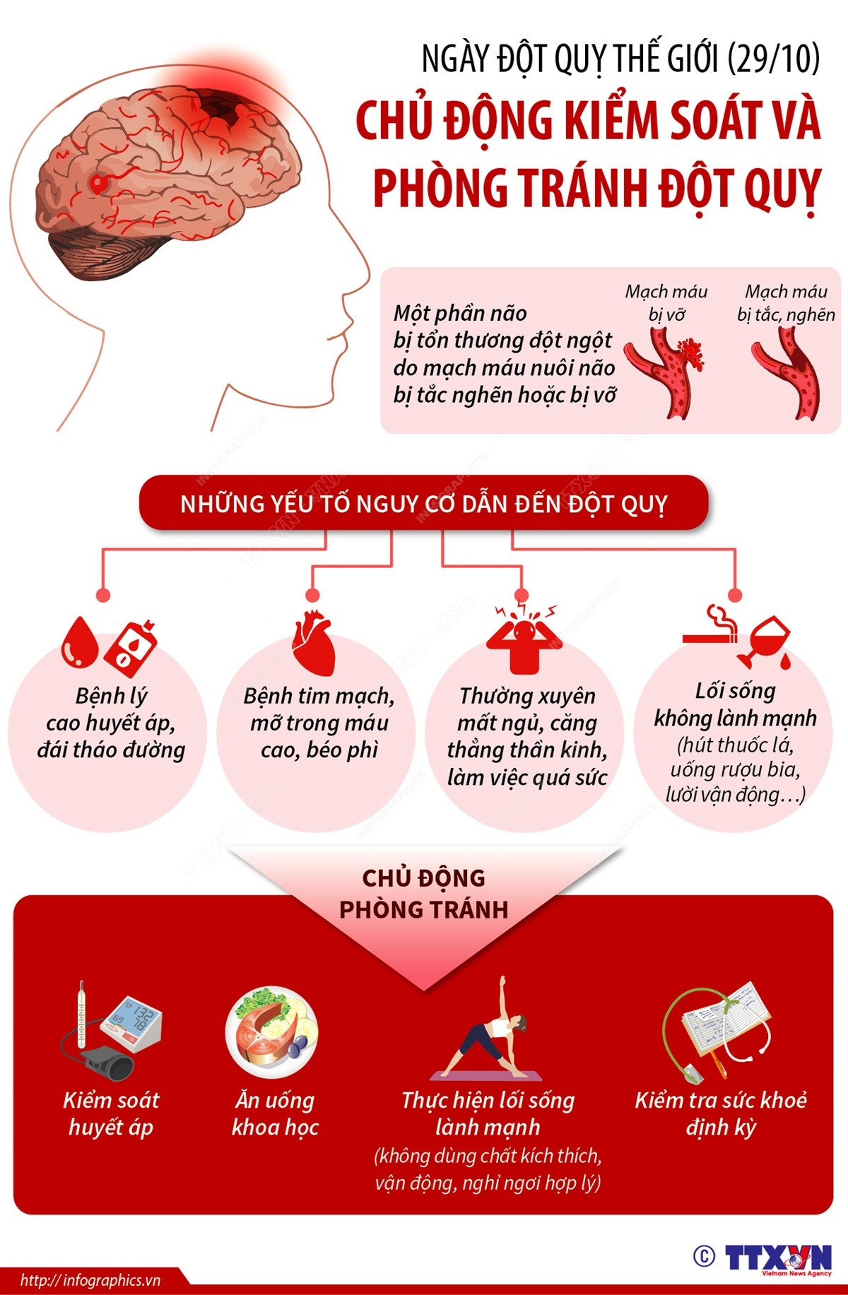 [Infographics] Chủ động kiểm soát và phòng tránh nguy cơ đột quỵ ảnh 1