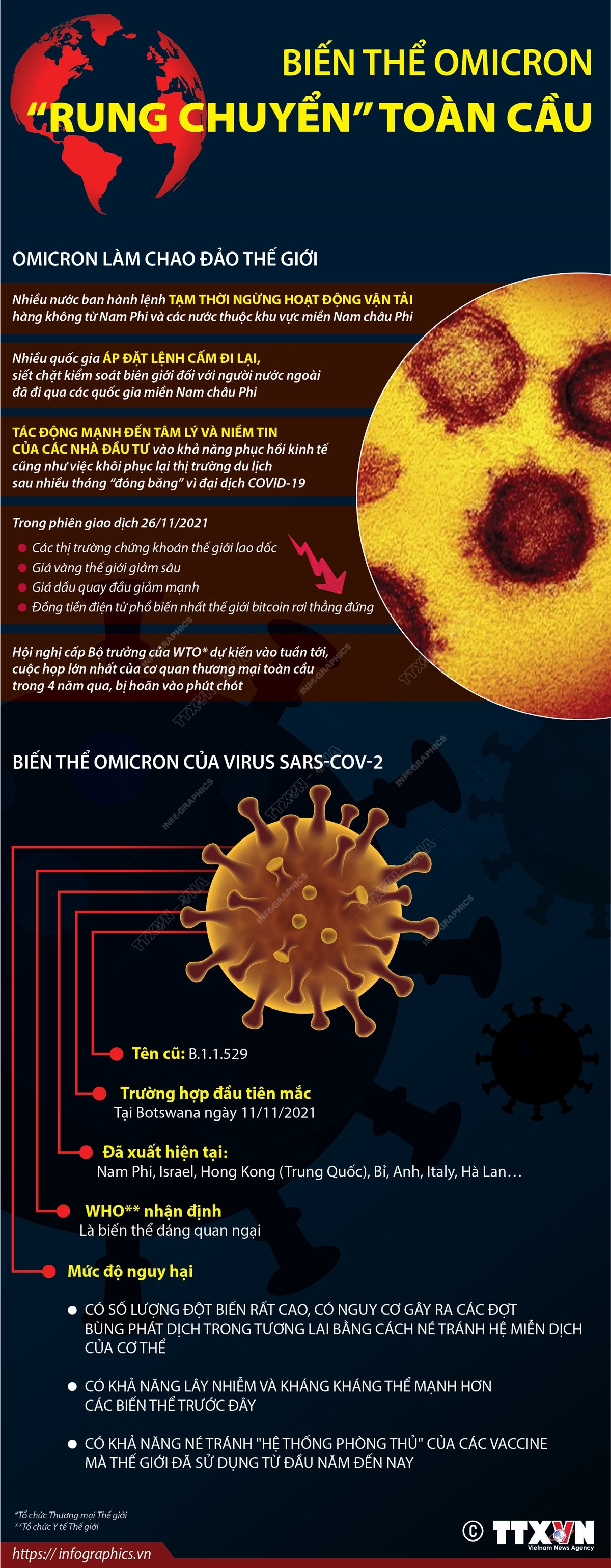 [Infographics] Biến thể Omicron làm “rung chuyển” toàn cầu ảnh 1