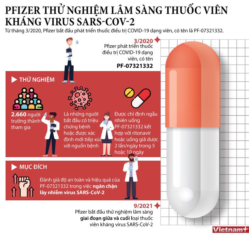 [Infographics] Pfizer thử nghiệm lâm sàng thuốc viên kháng SARS-CoV-2 ảnh 1