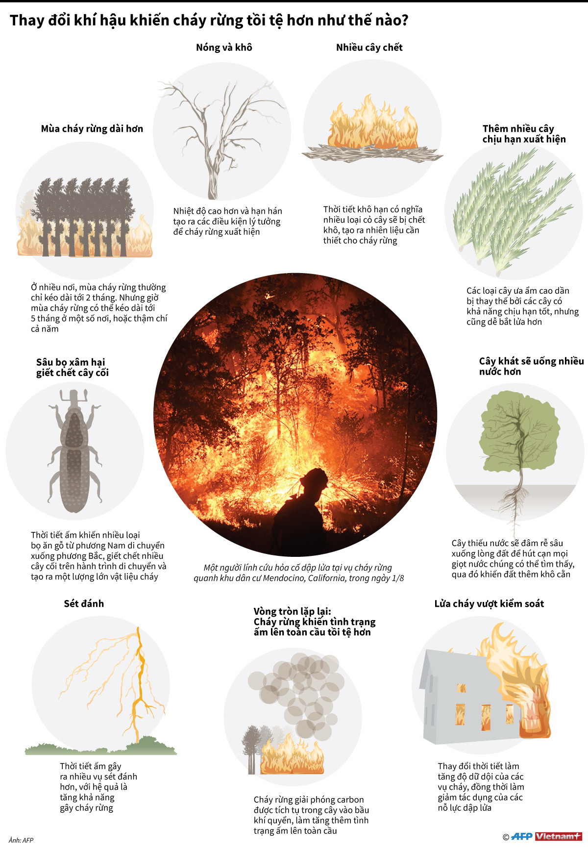[Infographics] Biến đổi khí hậu khiến cháy rừng tồi tệ như thế nào? ảnh 1