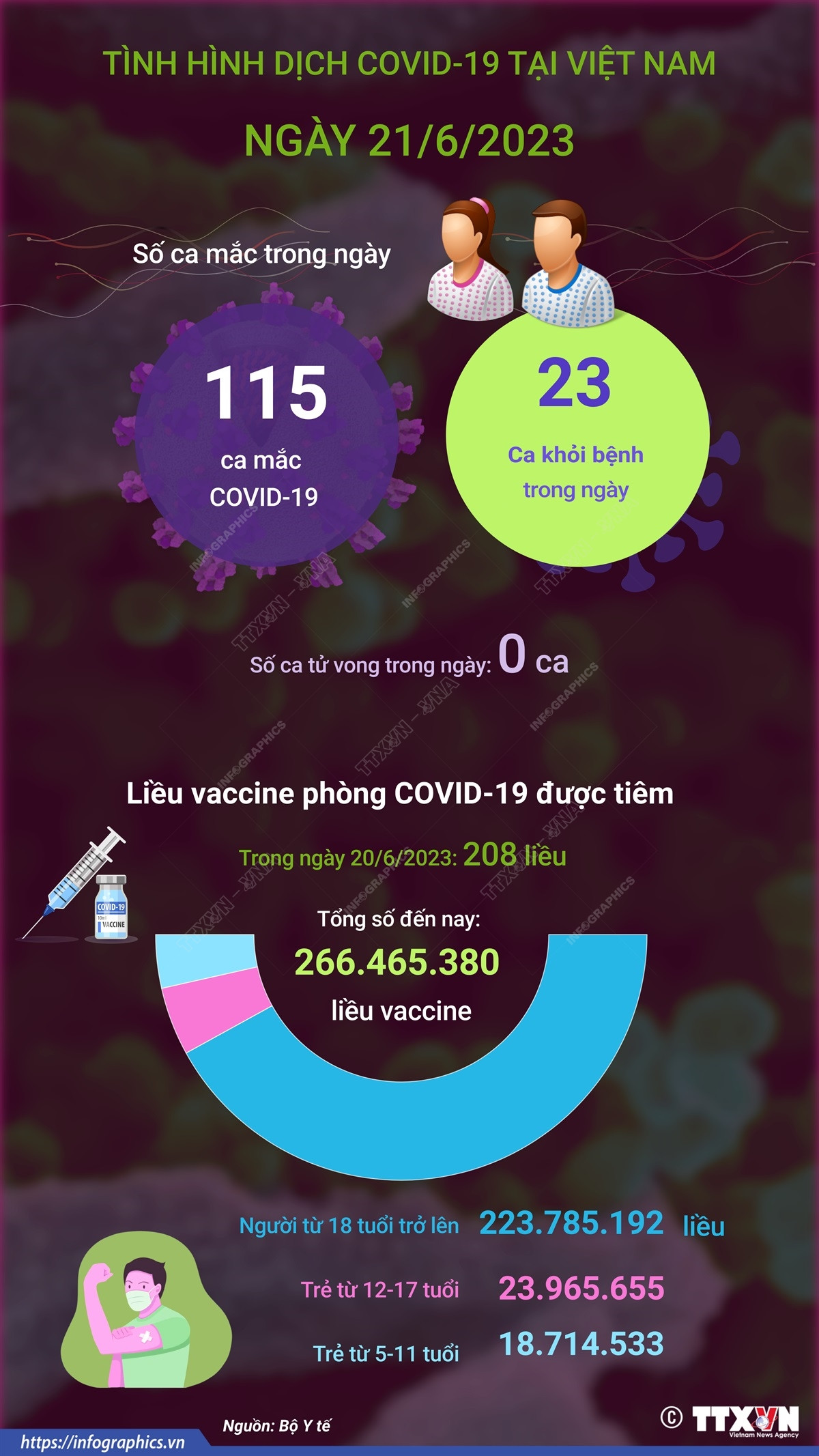 [Infographics] Cập nhật tình hình dịch COVID-19 tại Việt Nam ngày 21/6 ảnh 1