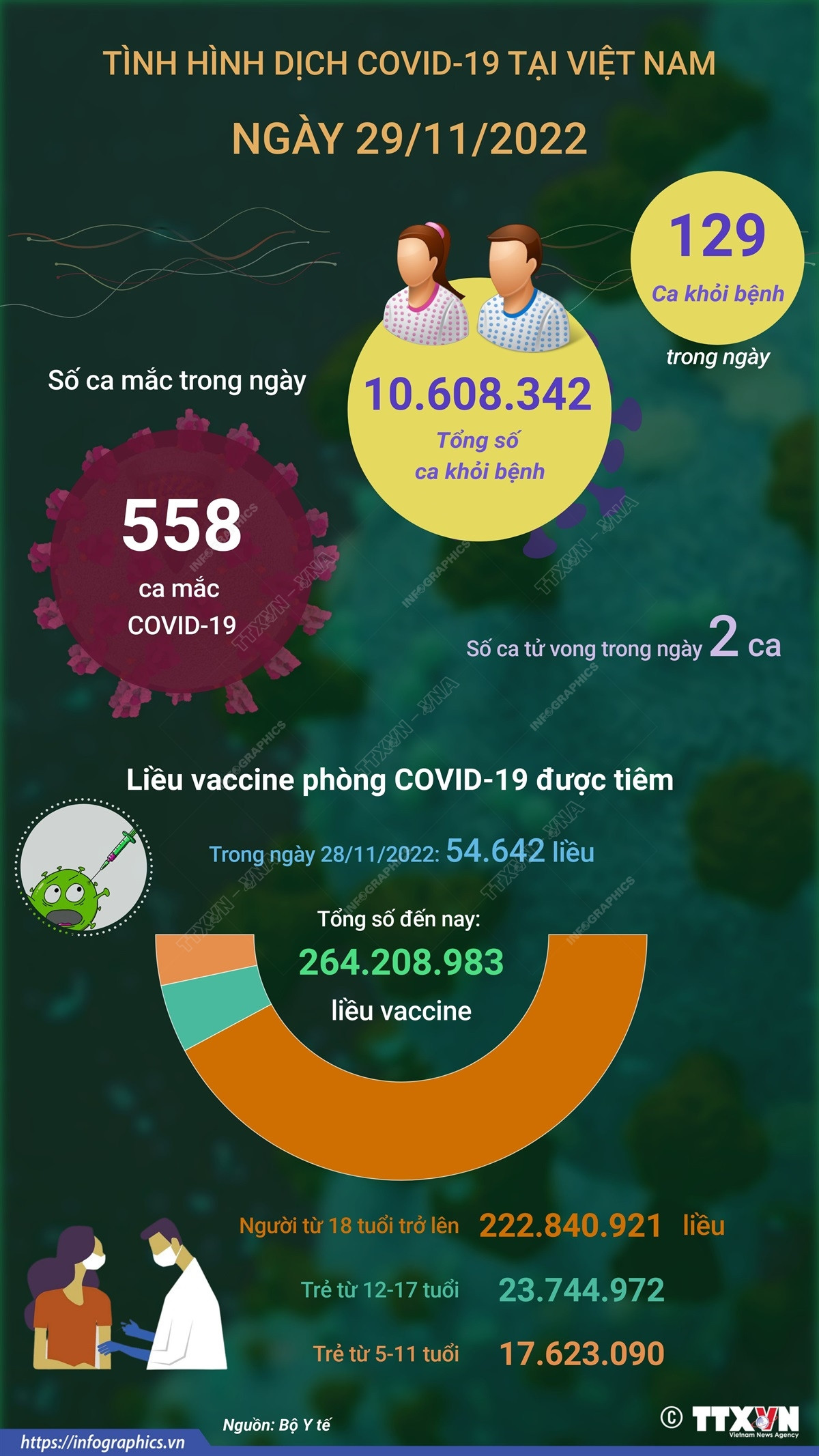 [Infographics] Tình hình dịch COVID-19 tại Việt Nam ngày 29/11 ảnh 1